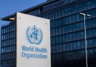 Nigeria, 11 others hit by major cholera outbreaks, says WHO