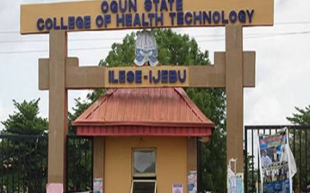 Ogun ordered to reinstate sacked whistleblower, pay N5m damages