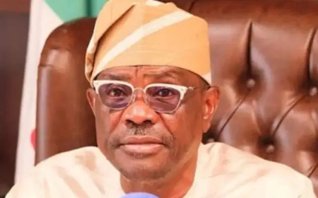 Why Wike is yet to face sanction — PDP