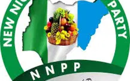 NNPP condemns mob killing of female vendor in Niger, calls for religious tolerance