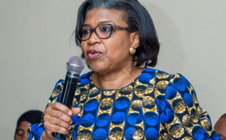 DMO warns states against debt, cites past national crisis