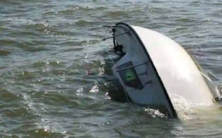 Fresh boat accident kills 29 in Niger