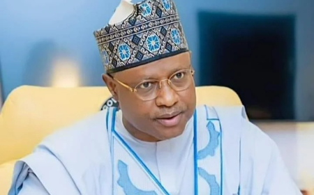 Kaduna health workers jubilate as Sani approves new salary structure