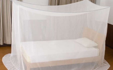 Ondo, FG to share 3.6m mosquito nets for malaria fight