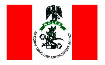NDLEA arrests 26, seizes over 41,000kg drugs in Edo
