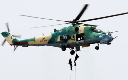 Troops kill 30 terrorists in Borno community