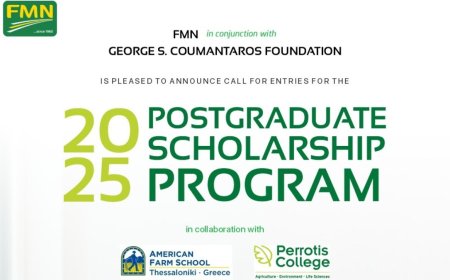 Flour Mills of Nigeria Scholarship 2025 to Study in Europe | How To Apply