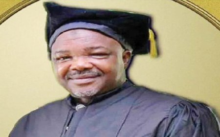 Nursing council scraps three-exam failure expulsion policy