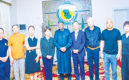 Chinese investors eye Gombe’s agric, energy sectors