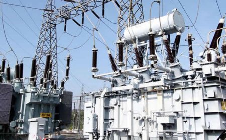 Blackout as national grid collapses
