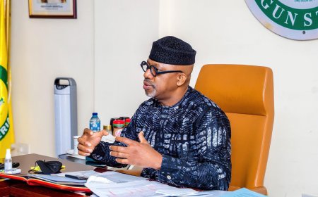Ogun gov appoints 1,200 aides to boost grassroots governance