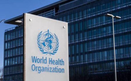 Nigeria, 11 others hit by major cholera outbreaks, says WHO