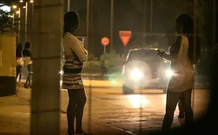 Zimbabwe sex workers scramble for alternatives after US aid cut
