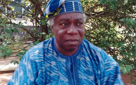Ondo APC elders promise 1.5m votes for Tinubu
