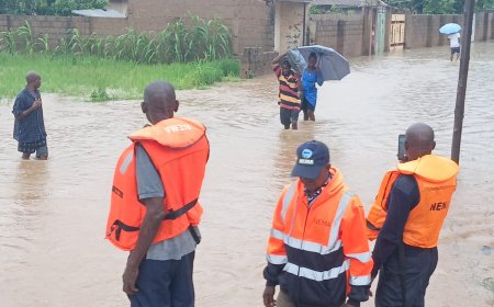NEMA leads evacuation as flood ravages Adamawa communities