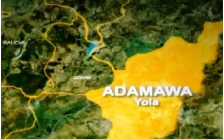 Adamawa govt demolishes 2,000 illegal shops in Yola