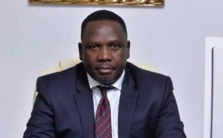 Seyi Tinubu can challenge his father for president – Bwala