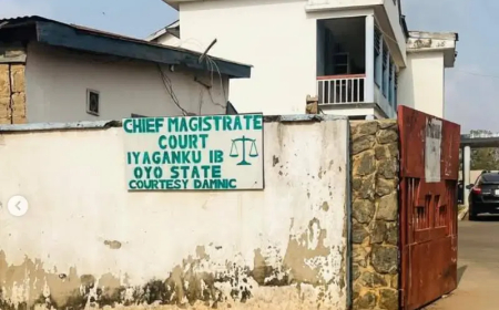 Three people in court for allegedly exhuming two corpses
