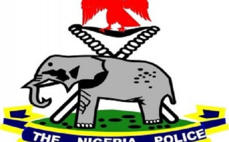 18 arrested as hoodlums hijack protest over power outage in Lagos