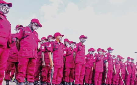 51 suspects arrested by Amotekun in Ondo