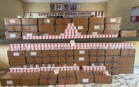NDLEA seizes heroin, cocaine, meth, skunk in nationwide raids