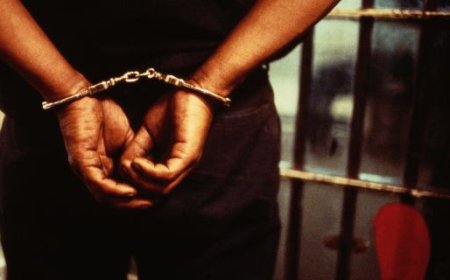 $2m fraud: Nigerian risks 20 years US jail term