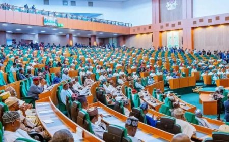 Reps request evidence of N2.4trn payment to contractors
