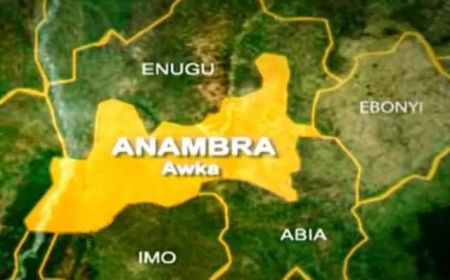 Police confirm custody of self-kidnap suspect from Army in Anambra