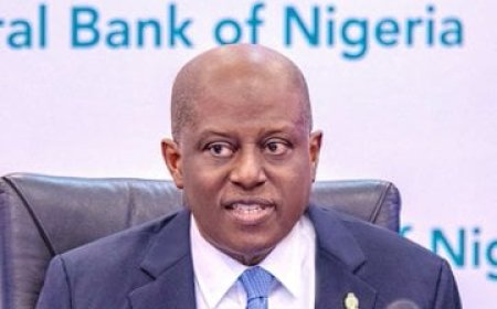 14 banks have met CBN’s new capital requirement – Cardoso