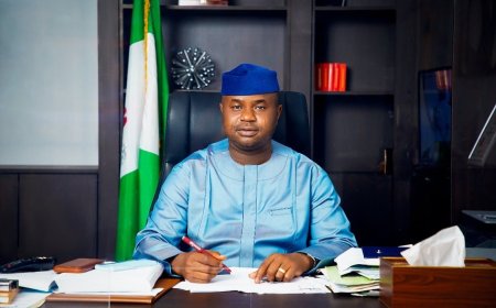 411% revenue rise won’t stop FG borrowing –FIRS