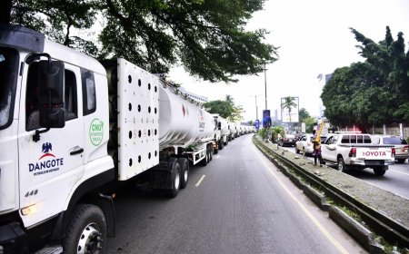 We want petroleum products at reasonable prices – DAPPMAN