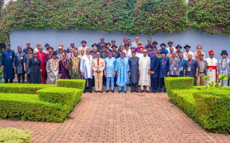 Oil exploration: Tinubu receives Ogoni report, honours slain leaders