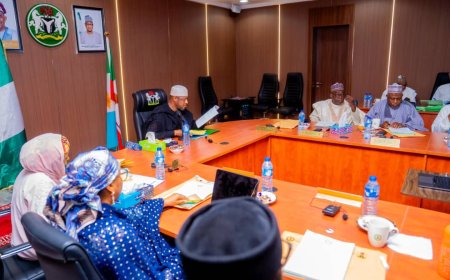 Katsina sacks 3,488 staff, recovers ₦4.6m from salary fraudsters