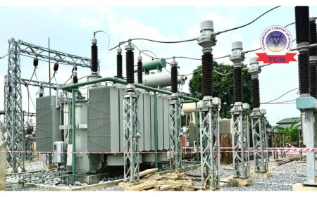 Nationwide blackout looms as electricity workers down tools