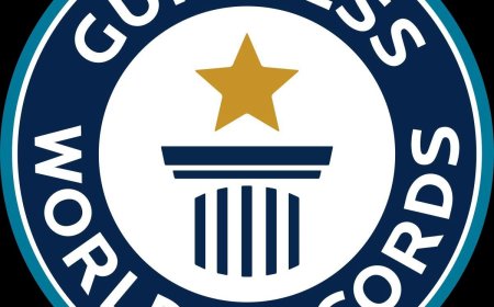 Lagos to host GWR vision board attempt