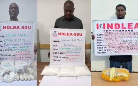 NDLEA arrests two drug kingpins in Lagos, seizes cocaine, heroine