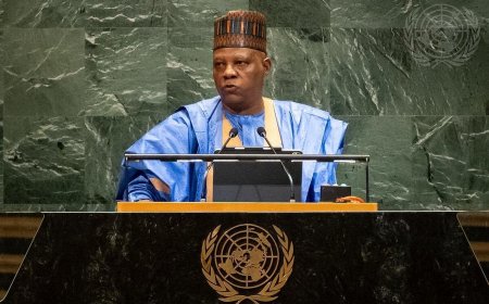 Tinubu to engage Nigerians in diaspora, says Shettima