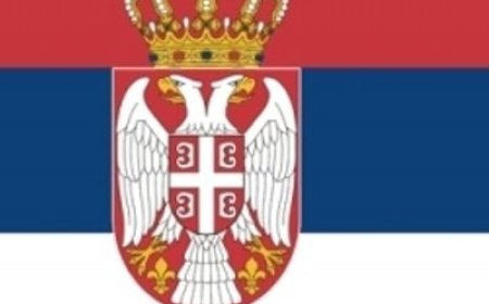 Serbian police arrest 11 for placing pigs’ heads at French mosques