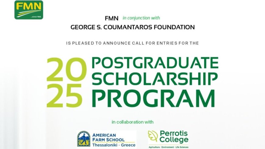 Flour Mills of Nigeria Scholarship 2025 to Study in Europe | How To Apply