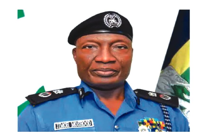Panic as five bodies found along Lagos riverbank