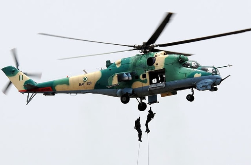 Troops kill 30 terrorists in Borno community