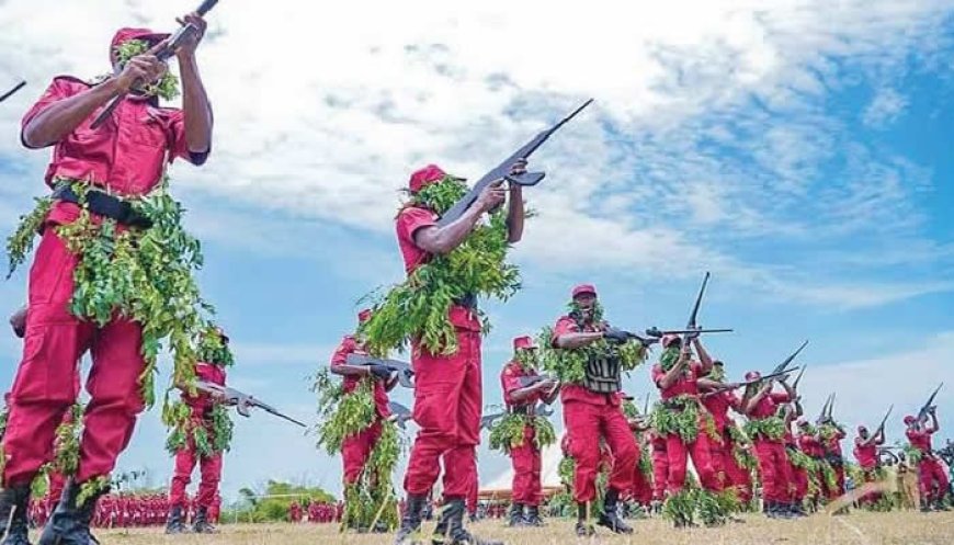 Amotekun arrests suspected kidnapper in Osun