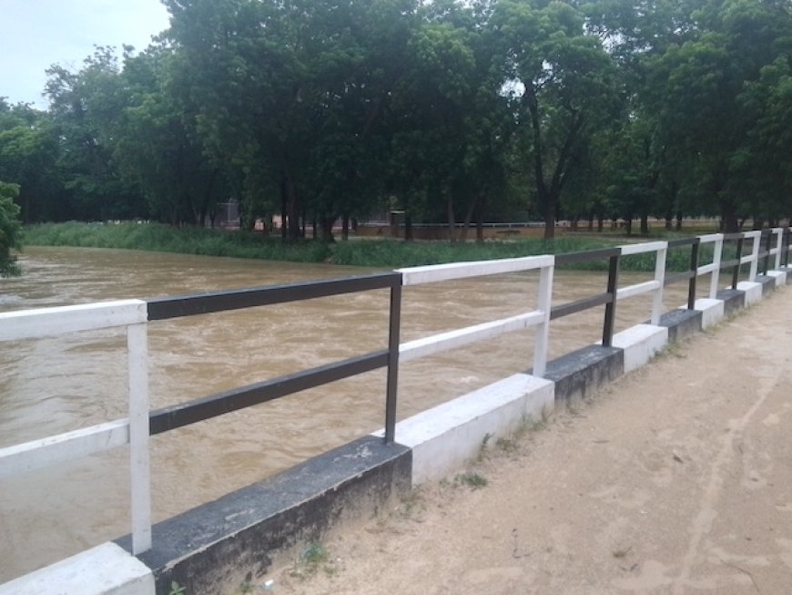 Flood risk: Borno zoo’s wild animals face displacement threat