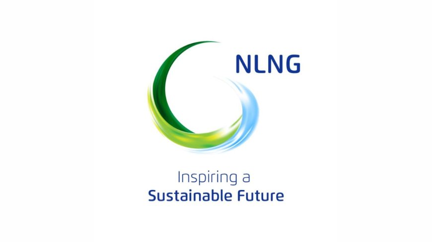 NLNG Graduate Trainee Program 2025 | Step-by-Step Process