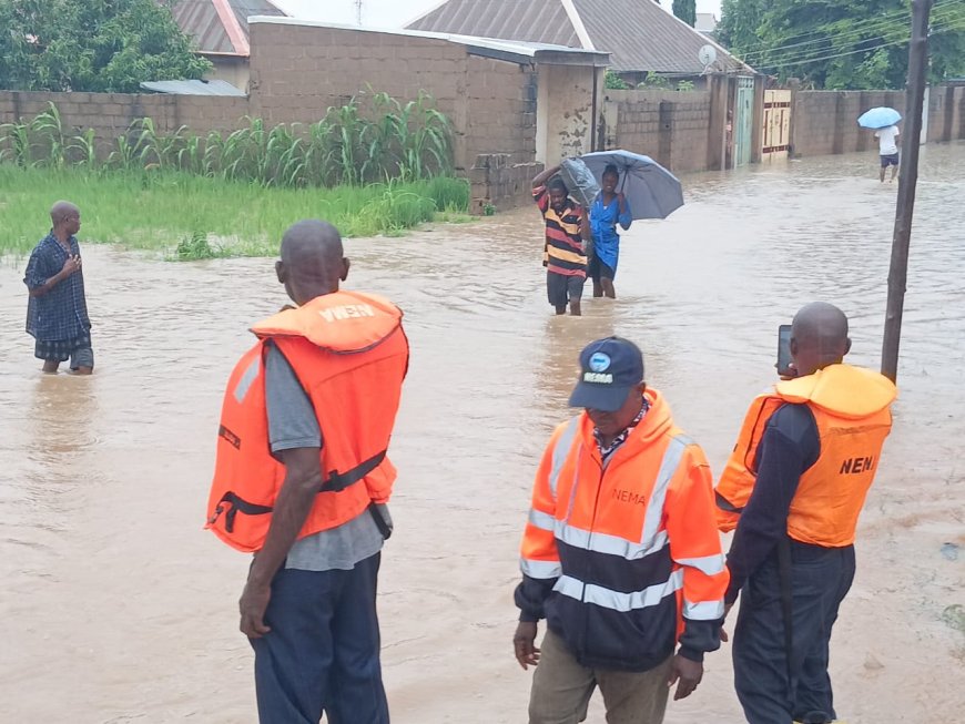 NEMA leads evacuation as flood ravages Adamawa communities
