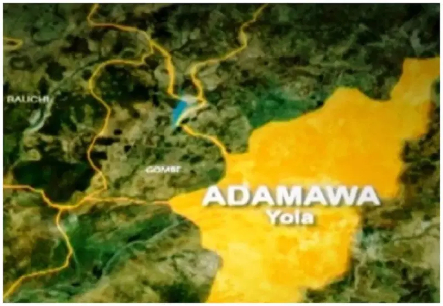 Adamawa govt demolishes 2,000 illegal shops in Yola