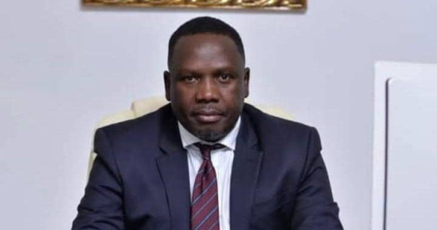 Seyi Tinubu can challenge his father for president – Bwala