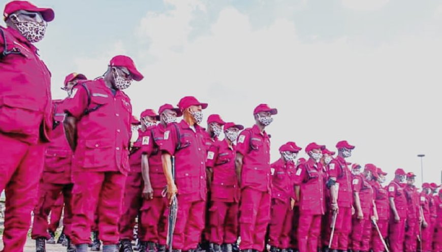 51 suspects arrested by Amotekun in Ondo