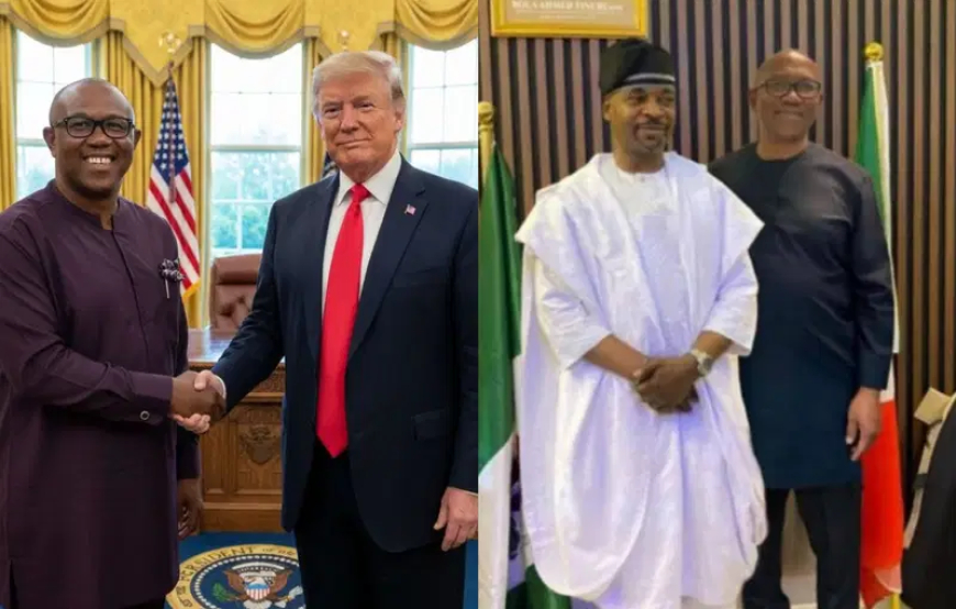 My photos with Trump, MC Oluomo are fake  —  Peter Obi clarifies