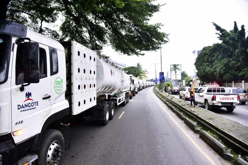 We want petroleum products at reasonable prices – DAPPMAN 